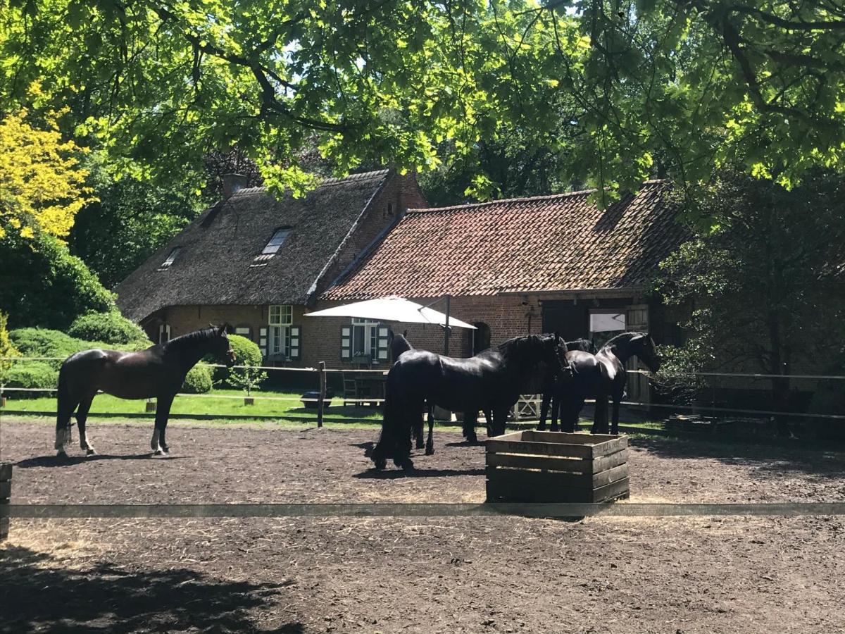 De Swaenhoeve Zoersel Exterior foto